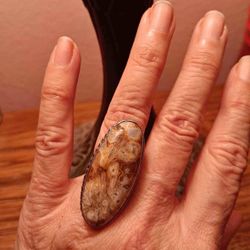Sterling Silver Rock Fossil Ring