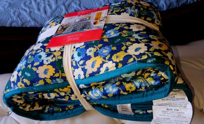 TWIN QUILT from target store