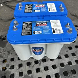 Optima Battery Group 31M Deep Cycle AGM 