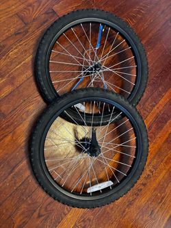 Bicycle wheels- 20 inch