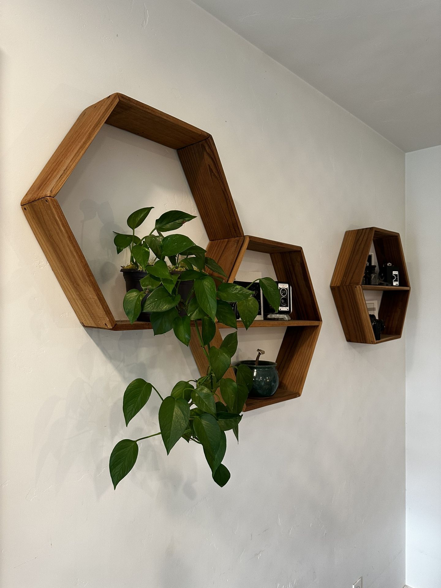 Hexagonal Wooden Shelves