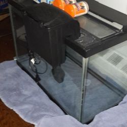 Fish Tank