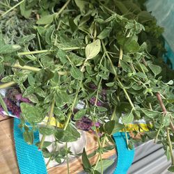 Herb Bundles