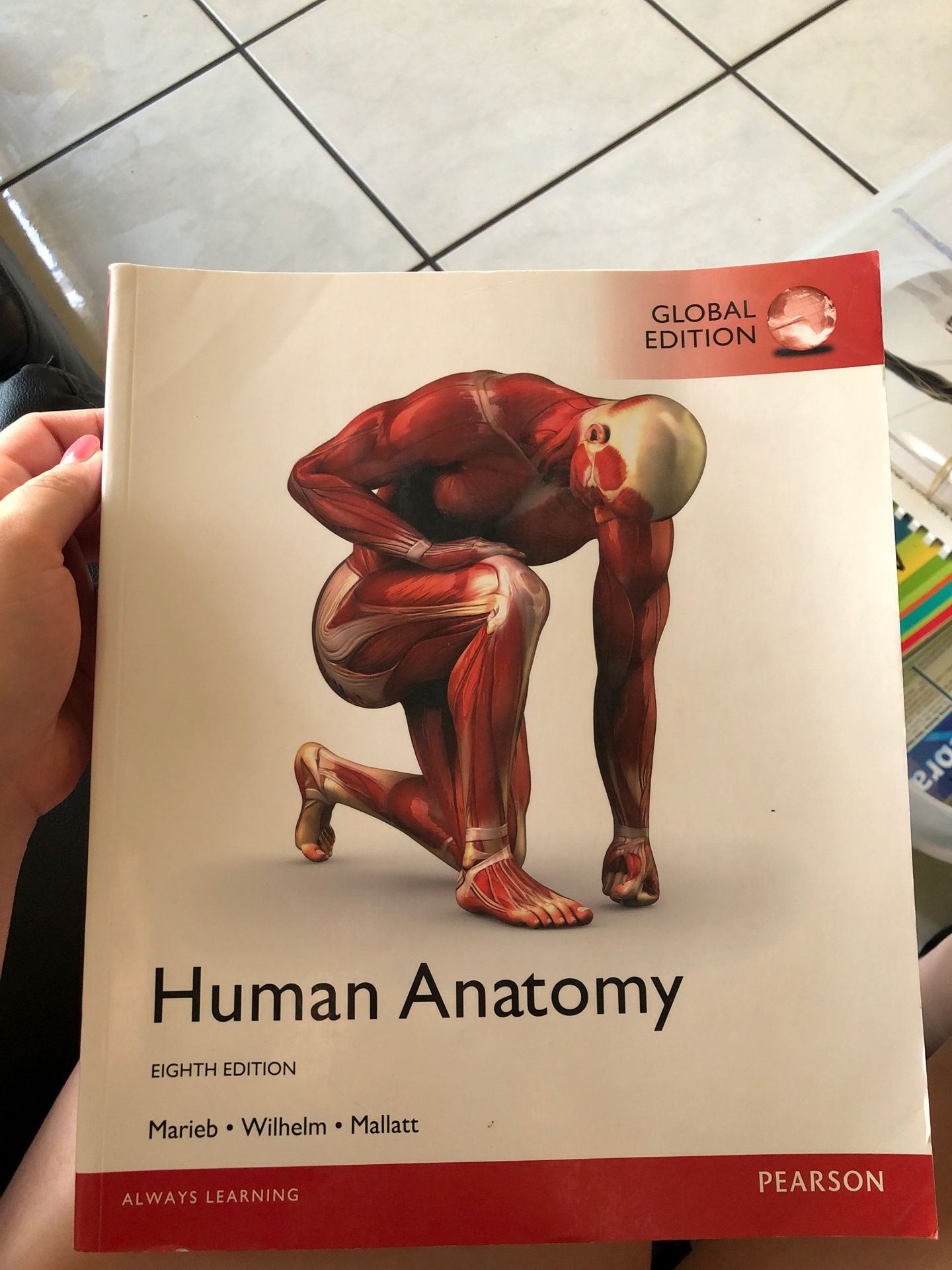 Anatomy