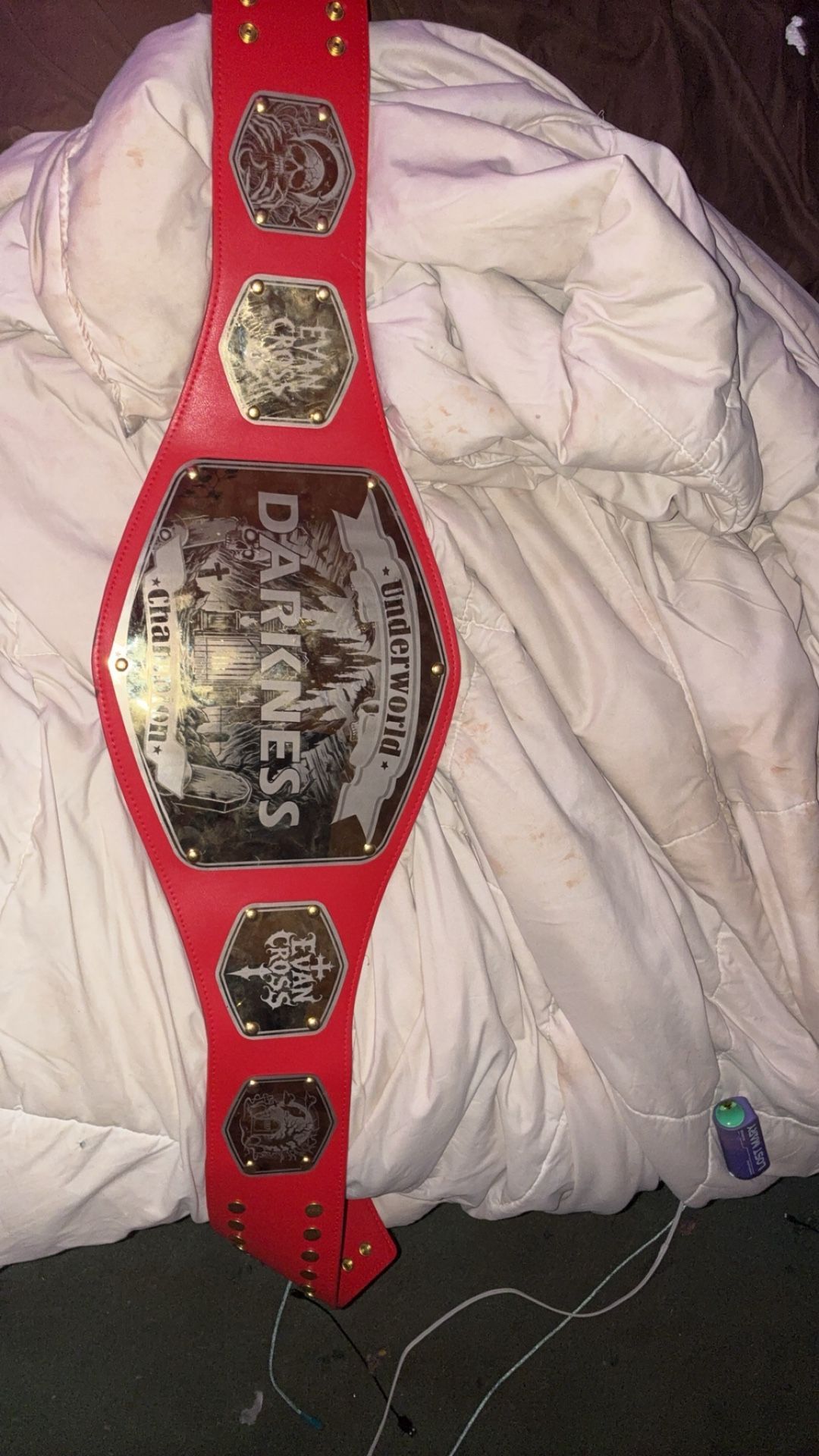 Wrestling Belt! Custom