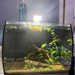9g Fluval Freshwater Tank