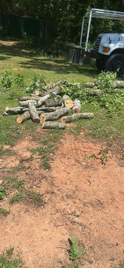 Firewood