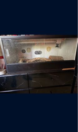 Reptile enclosure