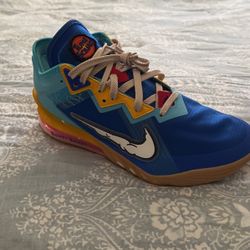 Lebron 9,5 Special Edition