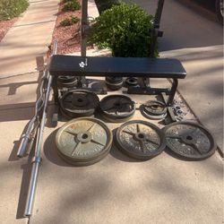 Weights Bars And Bench 