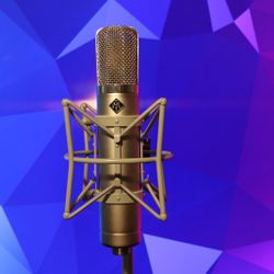 AKG C12 Tube Condenser Microphone (Hand Built)