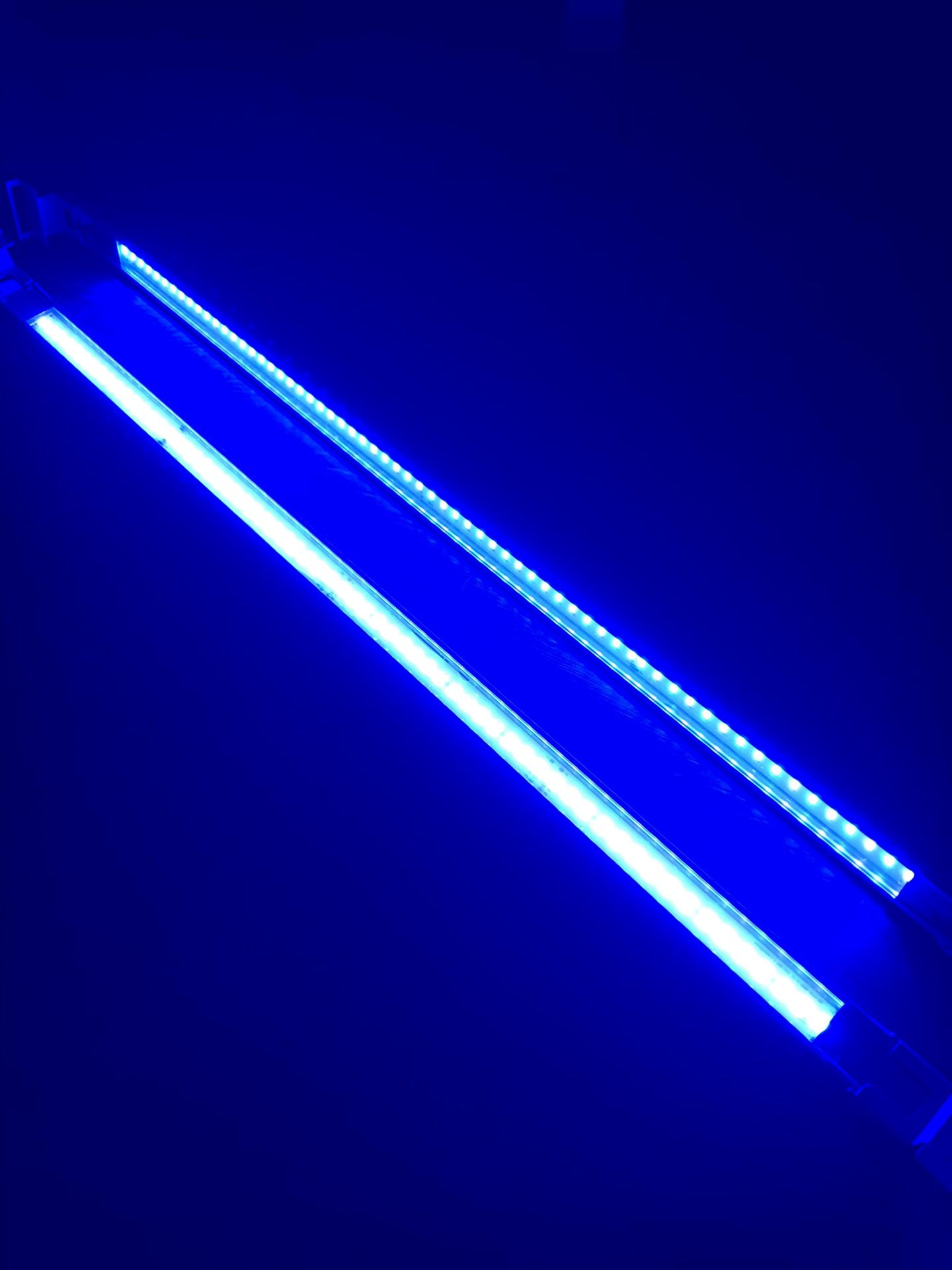 36" Actinic Blue Lumi Lite Strip LED - Reef Brite