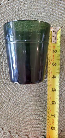 New Magnolia Hearth & Hand Juice Glass