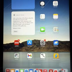 iPad Pro 11inch 4th Gen 256gb Cellular 