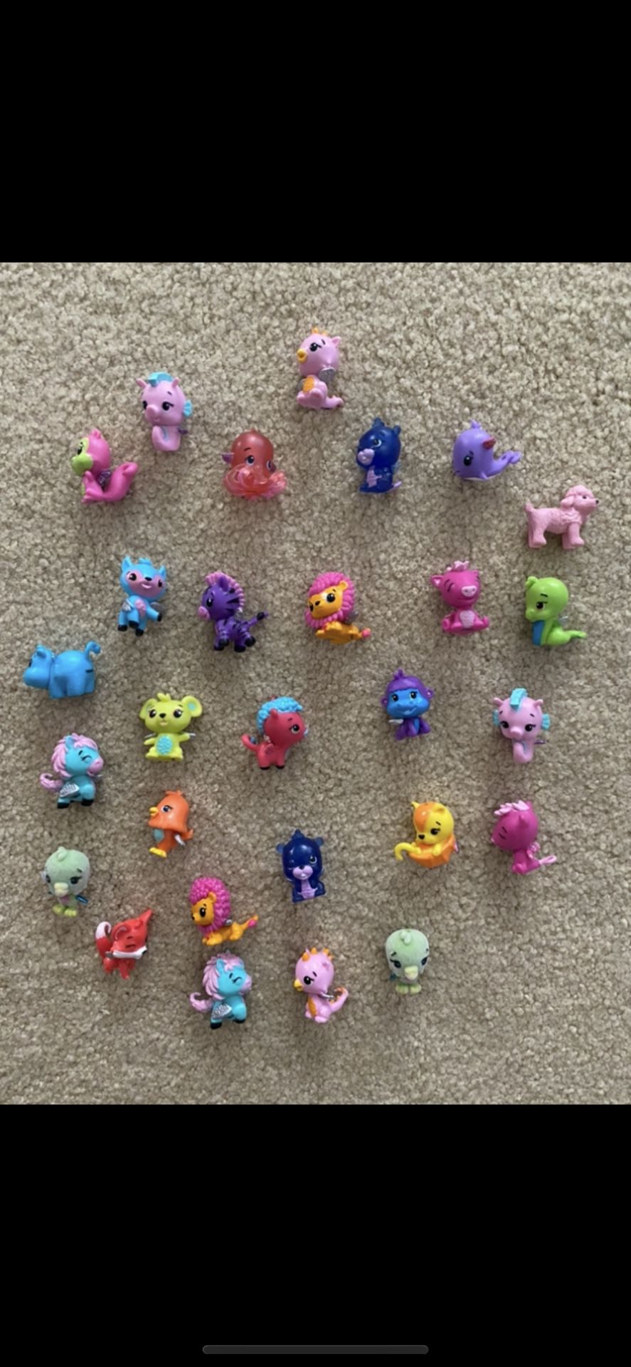 Hatchimals And Shopkins