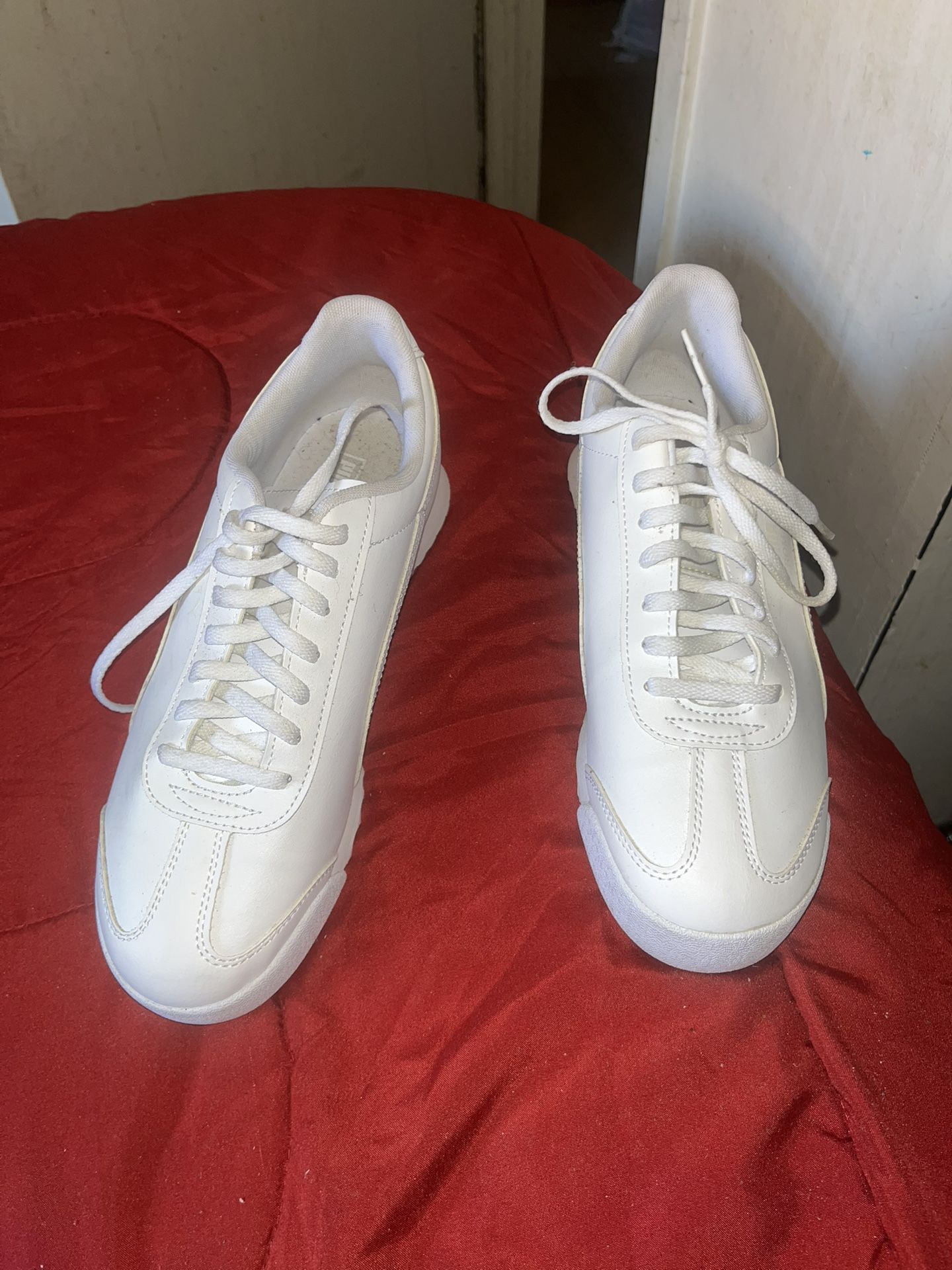 Pumas