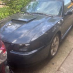 2000 Ford Mustang