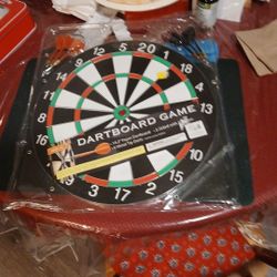 Dart board game two sided