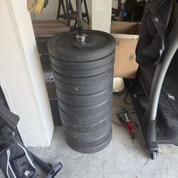 Rogue Bumper Plates