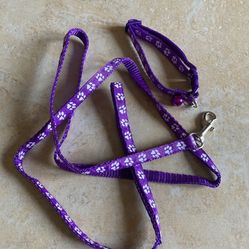 Dogs Leashes/Collars