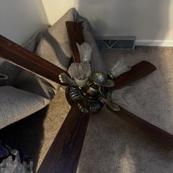 Ceiling Fan