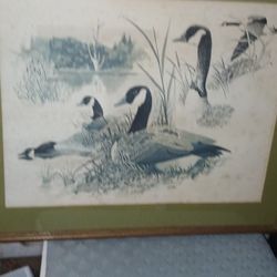Ducks Painting 