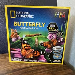 Butterfly Growing kit