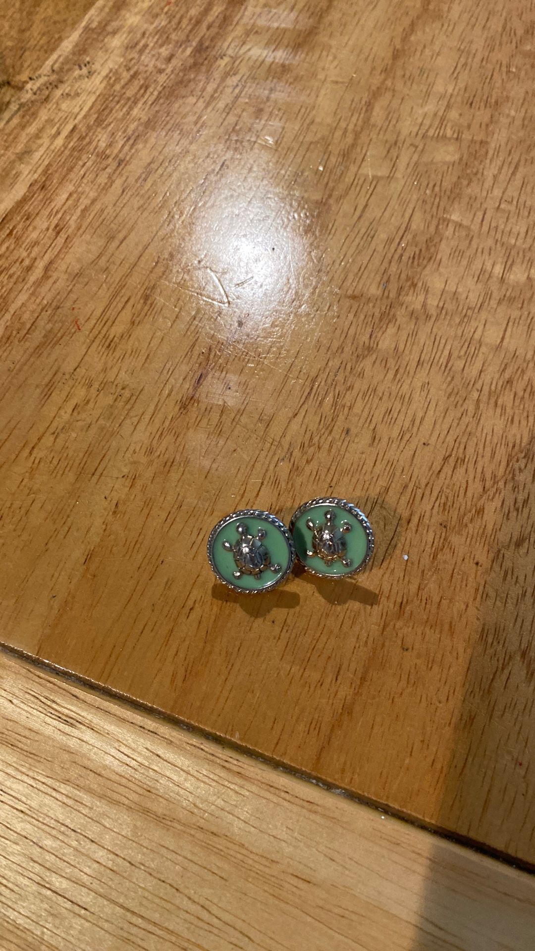 Women’s Turtle Earrings
