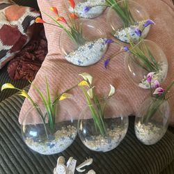 Glass Wall Vases