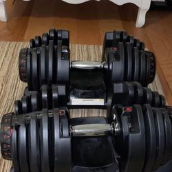 Bowflex 1090 SelectTech Dumbbells And Flybird Adjustable Bench 