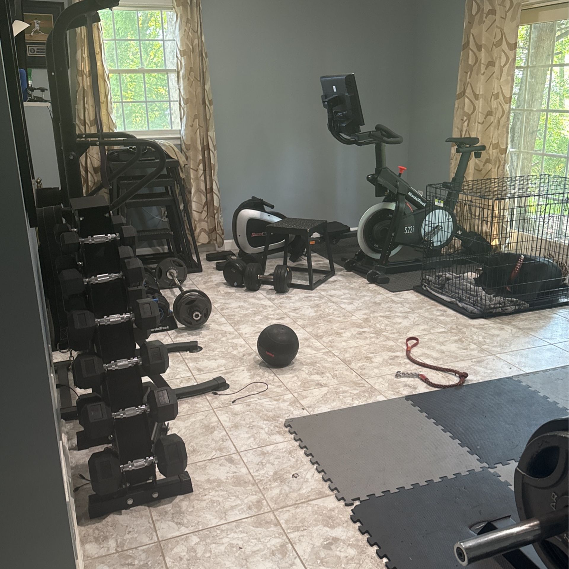 Dumbbell Tree $400