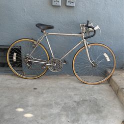Raceing Bike