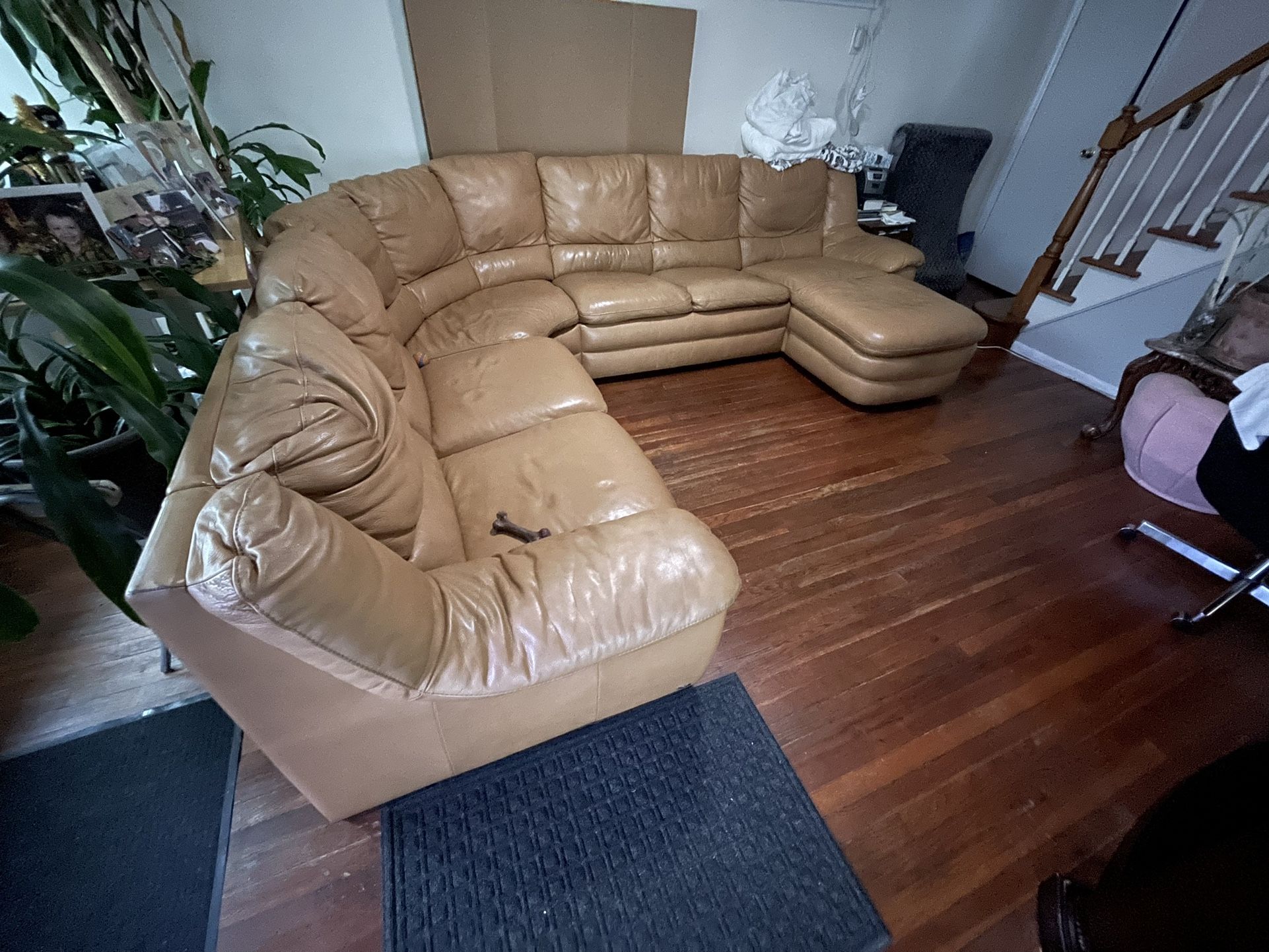 Leather Sofa