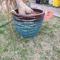 XL Plant Pot Glazed Pot