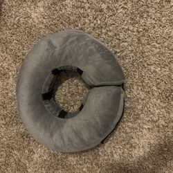 Dog Cone 