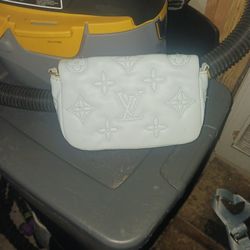 LOUIS VUITTON BLUE PURSE