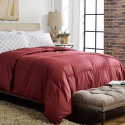 Northern nights down blanket sale