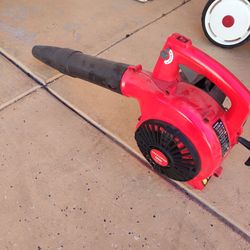 Blower Gas Powered 