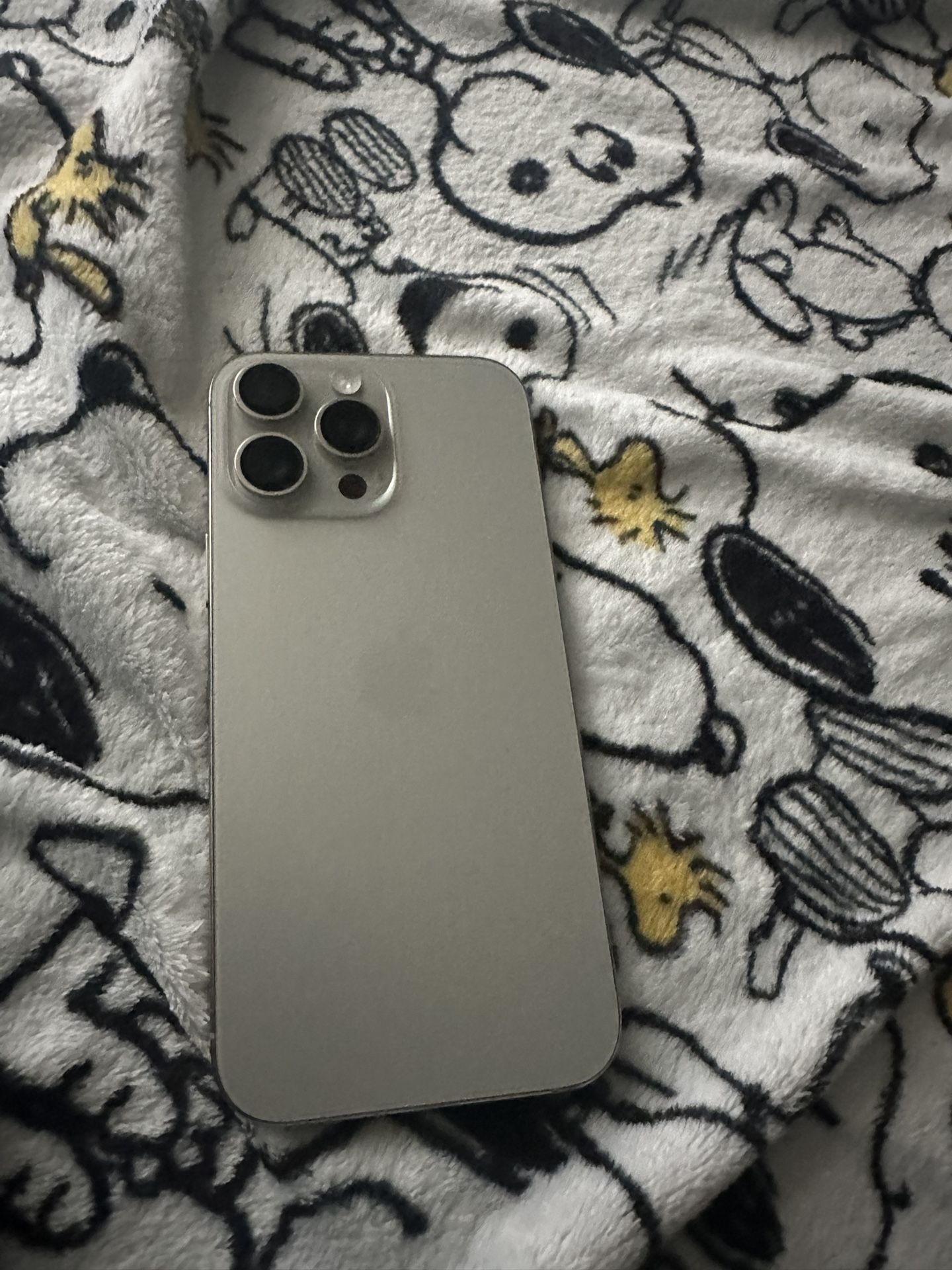 iPhone 16 Pro Max 256 Gig 