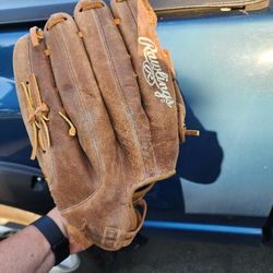Rawlings 14in Glove
