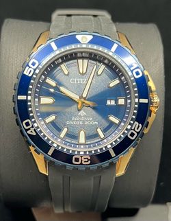 Citizen Watch i