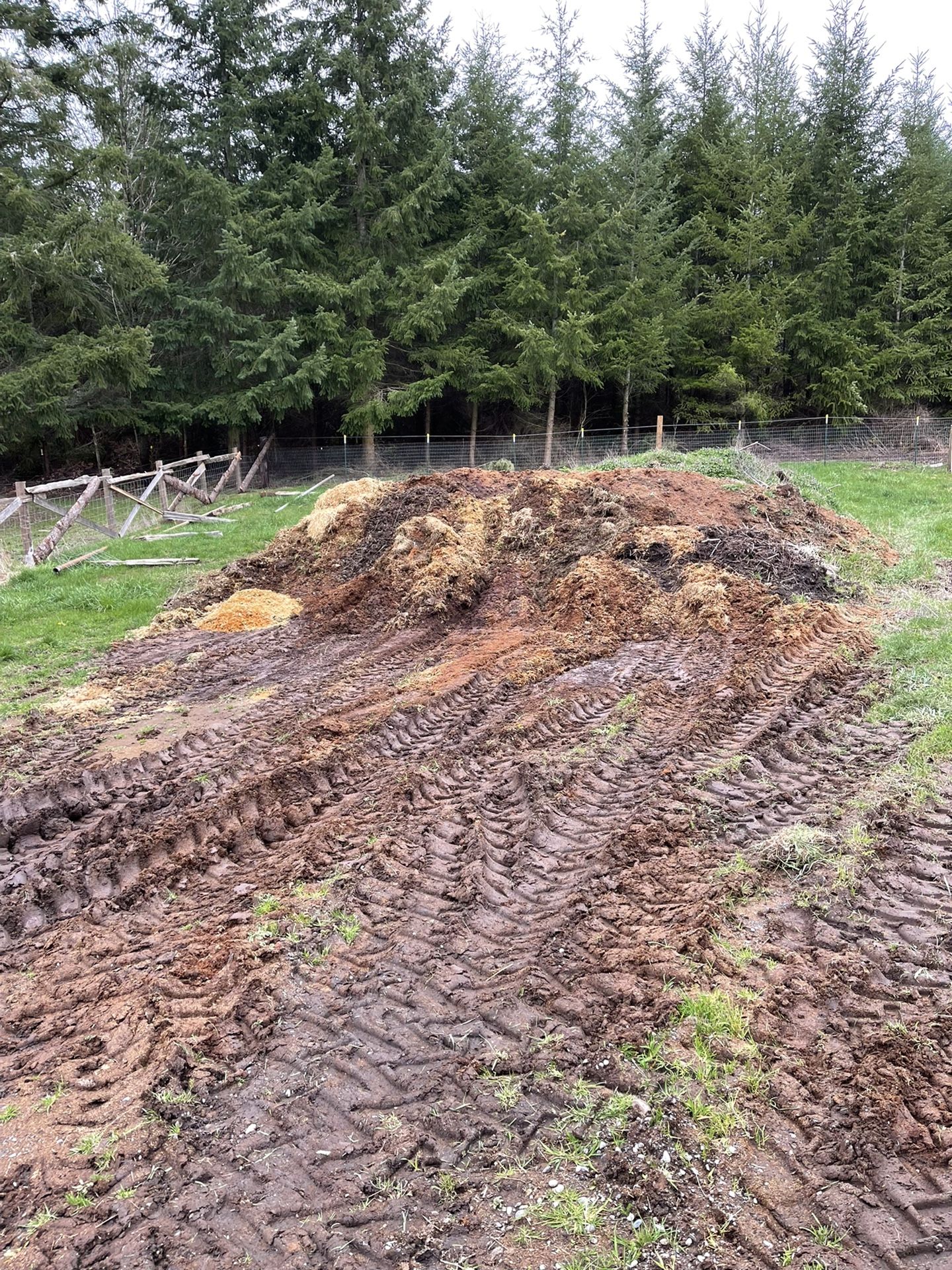 Horse Manure