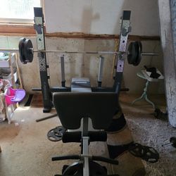Weight Bench