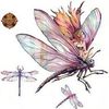 DragonflyFairyX Treasures
