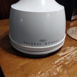 Natural Wonder Hair Dryer