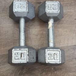 20 Pound Weight Dumbbells