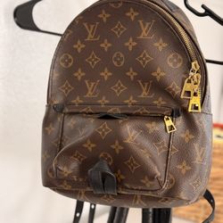 LV Backpack 