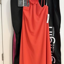 Dress For A Night Out 