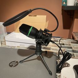 Video/Music production microphone