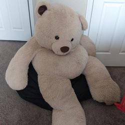 Big Soft Teddy Bear